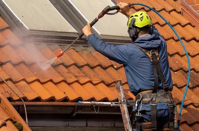 Démoussage et hydrofuge de toiture à Dangu